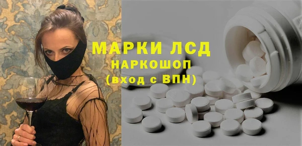гидра Бородино