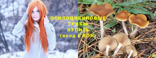 СК Богородск