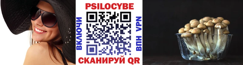как найти закладки Вятские Поляны Галлюциногенные грибы Cubensis